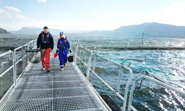 Fish farm workers