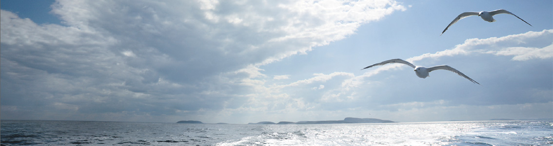 DNV GL battery systems handbook