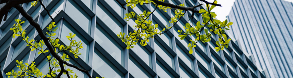 Environment & Energy Training