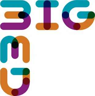 BigMed logo