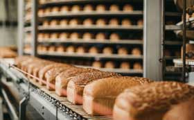 食品欺诈的脆弱性评估