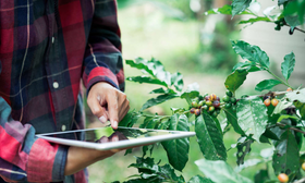 Hazard Analysis and Risk Assessment (HARA)