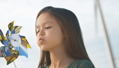 APQP4Wind Internal Auditor Training