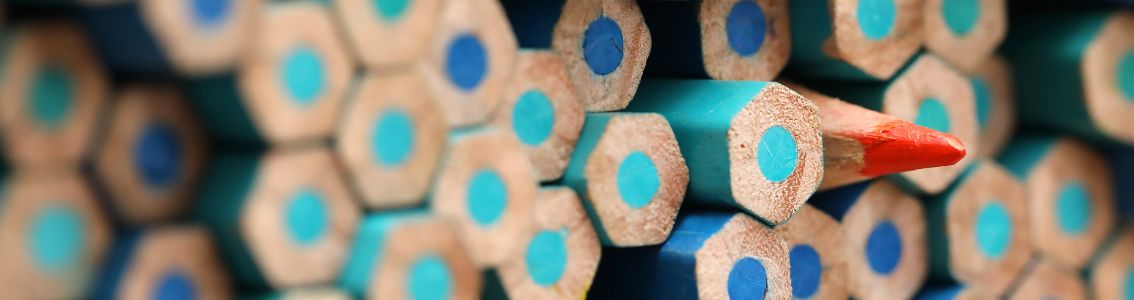 Diversity and Inclusion in the Workplace