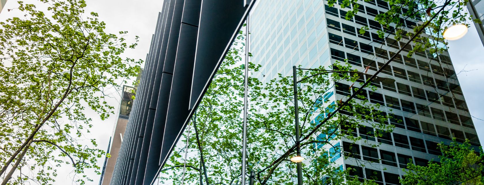 Building's mirror reflection