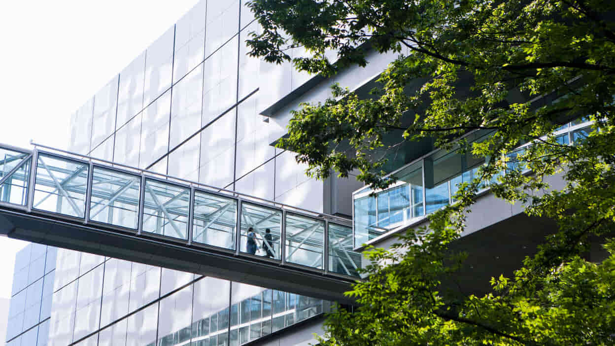 ISO 14001 Certification: Environmental Management