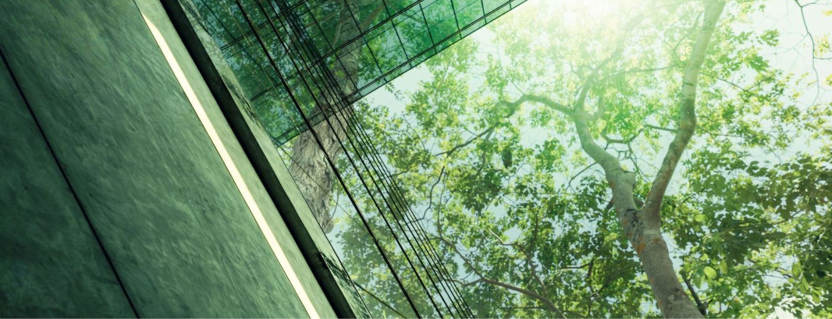 Eco-friendly building in modern city