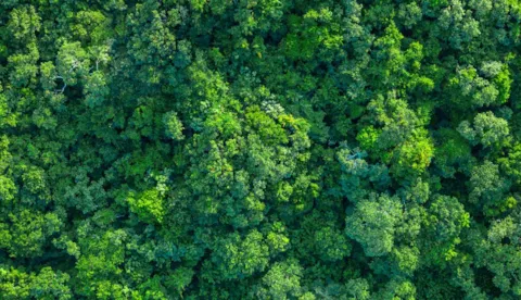 Revisión de la ISO 14001