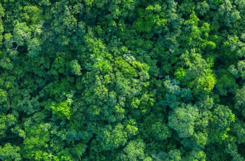 ISO 14001 改版 - 環境管理系統