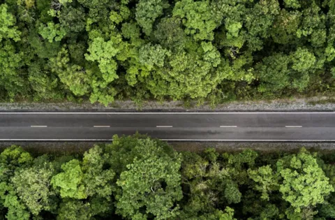 ISO 14001:2026 Transition Essentials based on the Draft International Standard (ISO/DIS 14001)