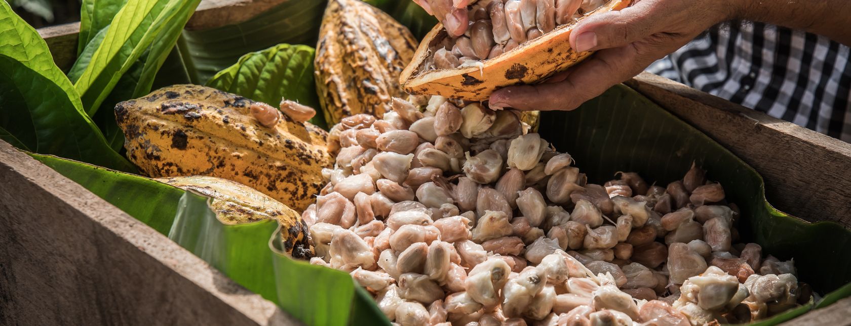 An Approach to Product Safety Culture Training