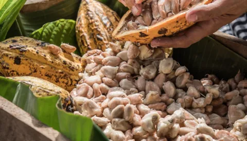 An Approach to Product Safety Culture Training