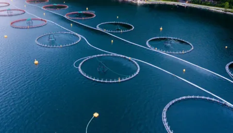 ASC Social Auditing - Internal Auditor Training