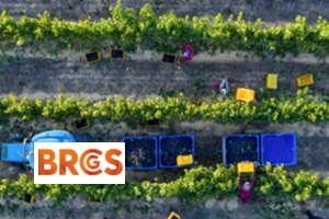 Global Standard for Ethical Trade & Responsible Sourcing (ETRS) Issue 2.1: Sites Training