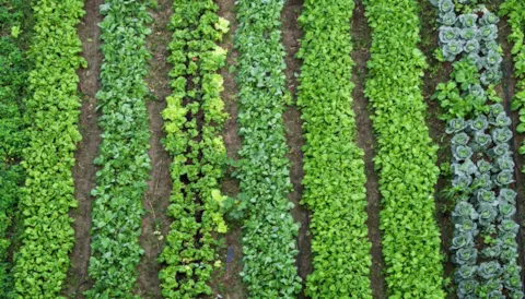 Environmental Monitoring Training