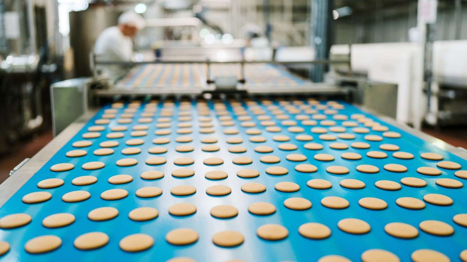 factory line for cookie production