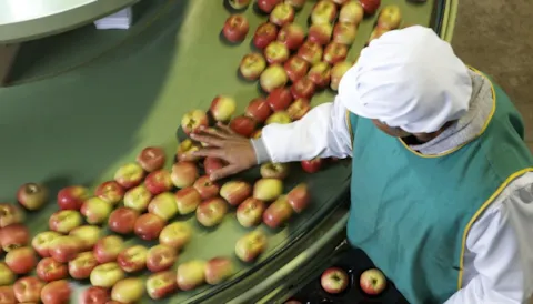 FSMS Internal Auditor based on FSSC 22000 version 6 Training