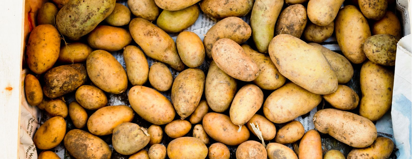 Potatoes
