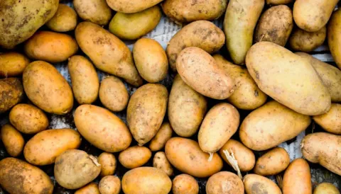 FSSC 22000 Version 6 Awareness Training