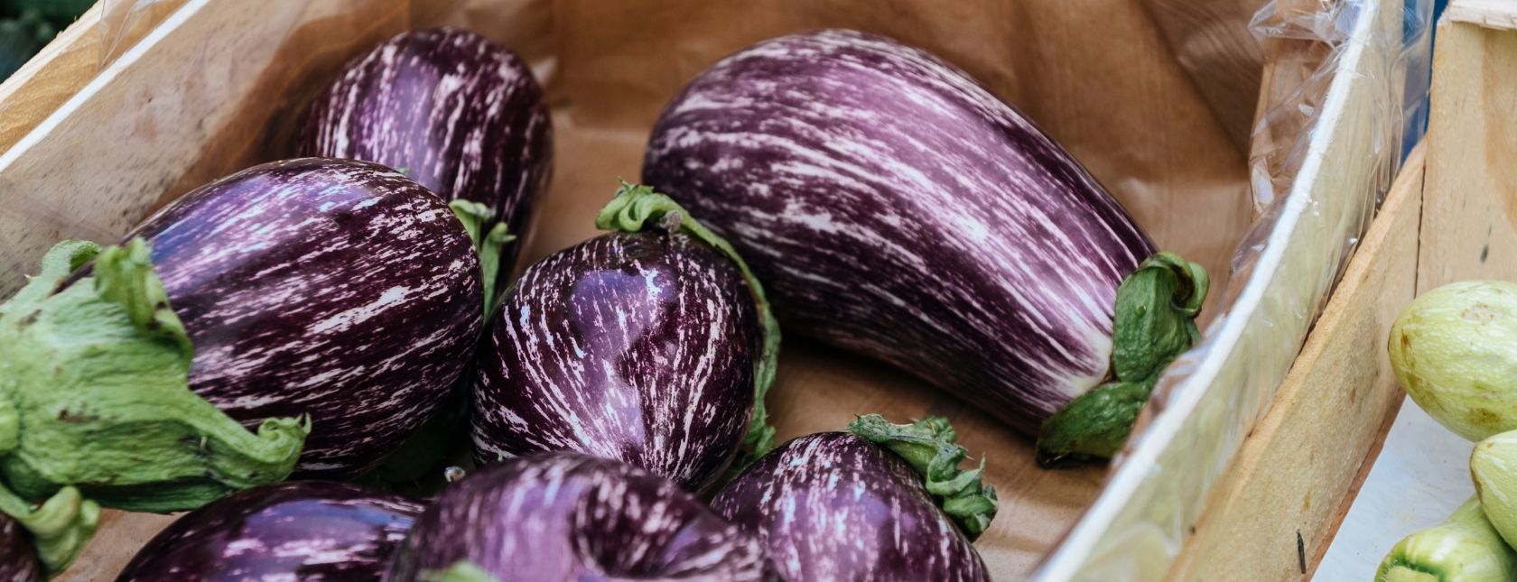 Global Standard Agents and Brokers Issue 9 Companies Requirements Training