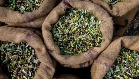 Global Standard Food Safety Issue 9: Lead Auditor Training