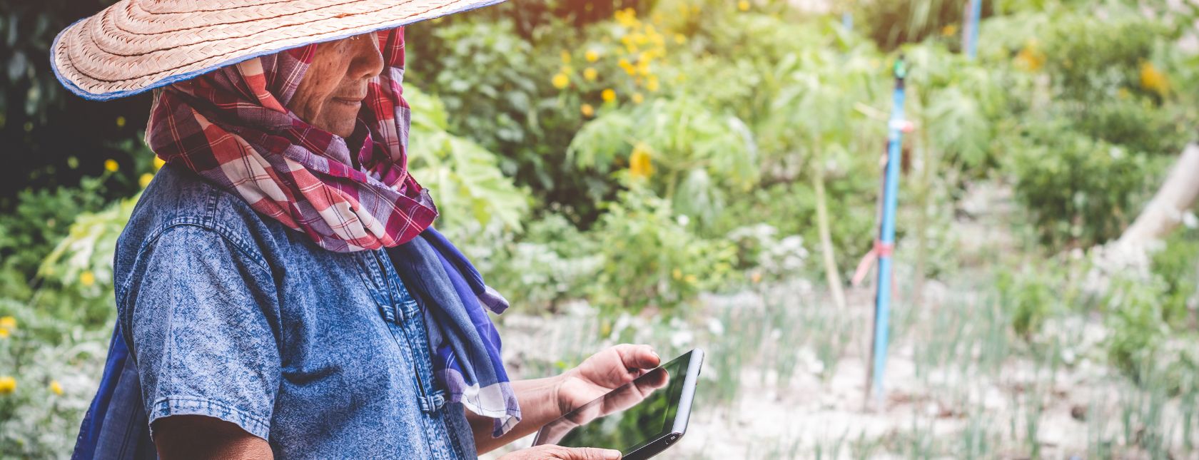 Global Standard Gluten-Free Issue 4: Auditor e-learning Training