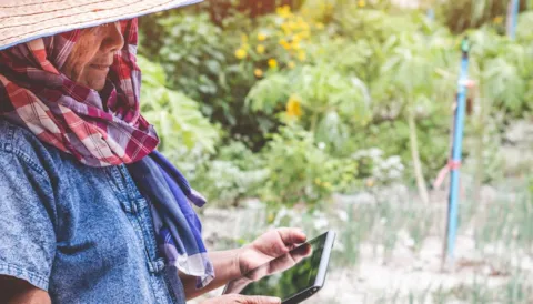 Global Standard Gluten-Free Issue 4: Auditor e-learning Training