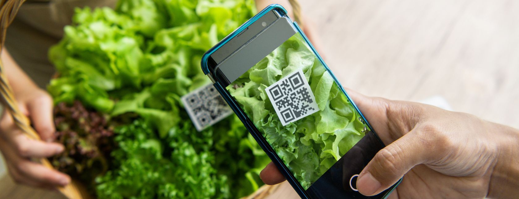 Global Standard Gluten-Free Certification Program Issue 4: Auditor Training