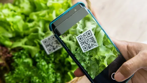 Global Standard Gluten-Free Certification Program Issue 4: Auditor Training