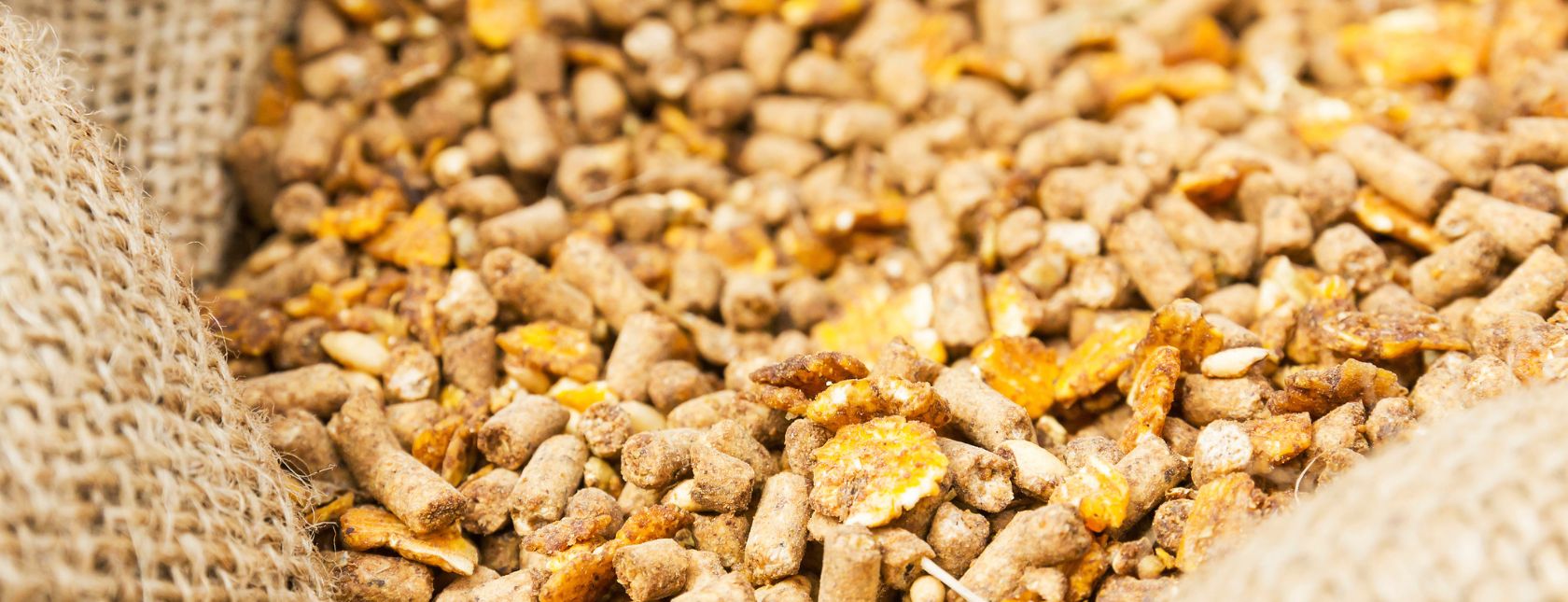 GMP+ FSMS Requirements Awareness Training