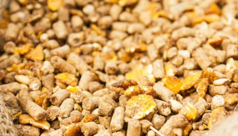 GMP+ FSMS Requirements Awareness Training