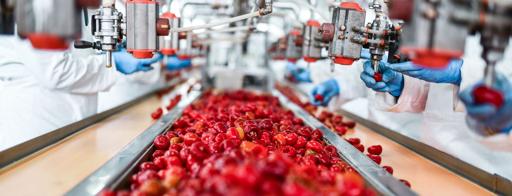 Hazard Analysis and Risk Assessment (HARA) Training