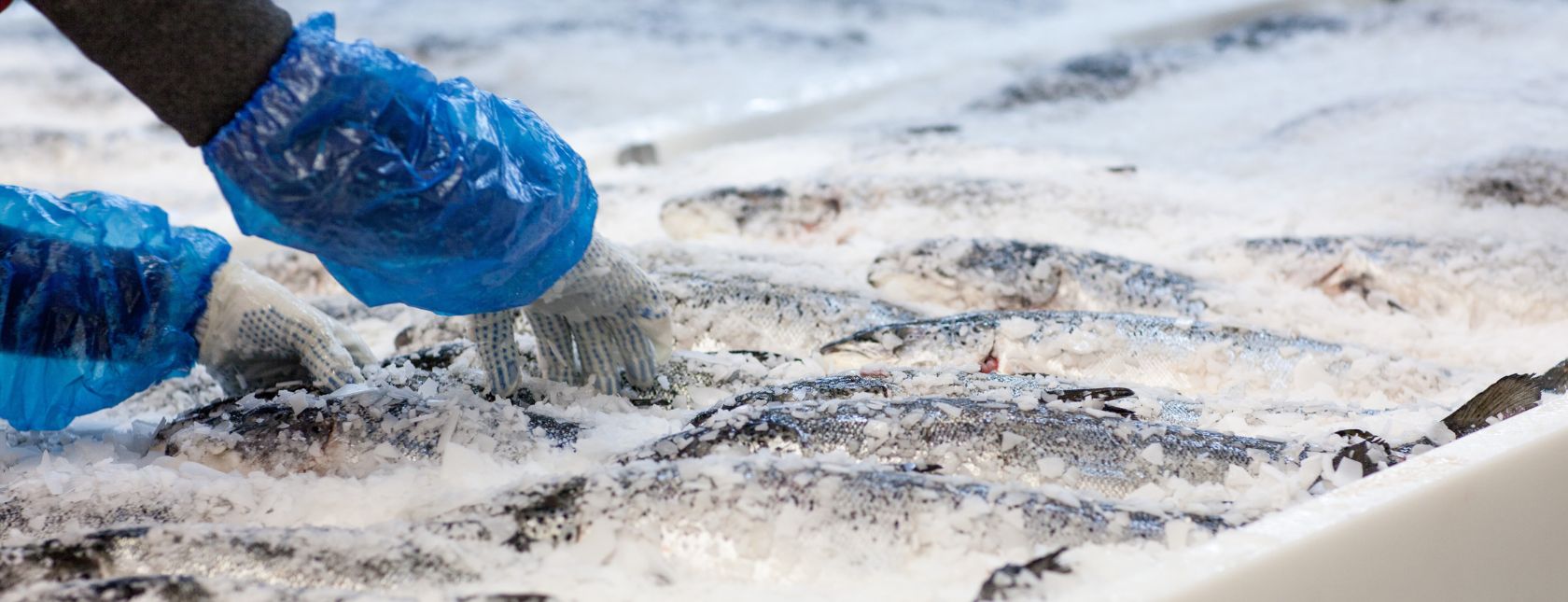 IFS Broker 3.2 Industry Training