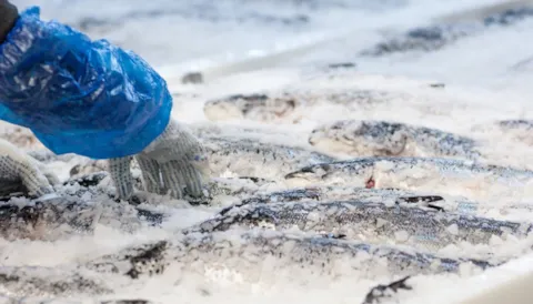 IFS Broker 3.2 Industry Training