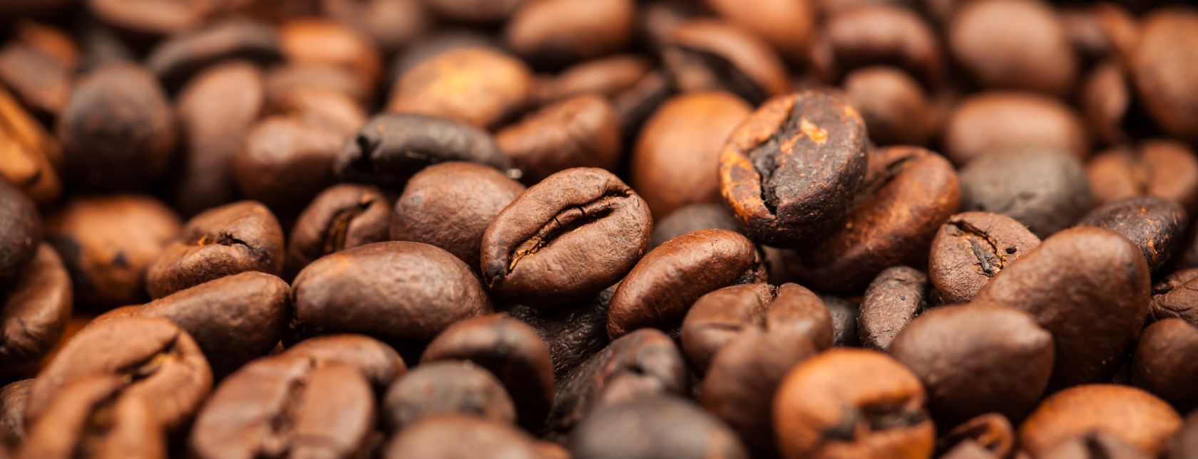 IFS Food Fraud Mitigation Training