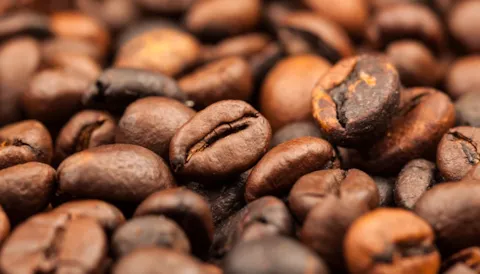 IFS Food Fraud Mitigation Training