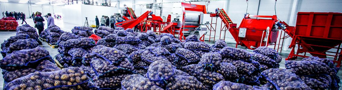 Vegetables and groceries in big warehouse