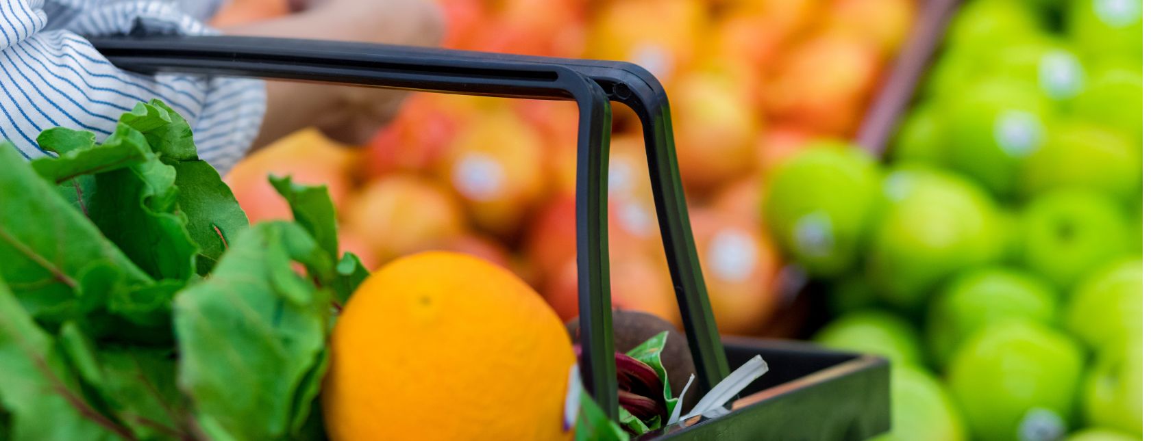 ISO 22000:2018 Combined Auditor Transition Training