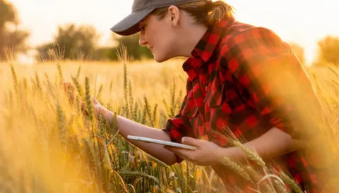 ISO 22000:2018 Internal Auditor Training