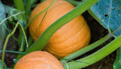 Risk Assessment Training