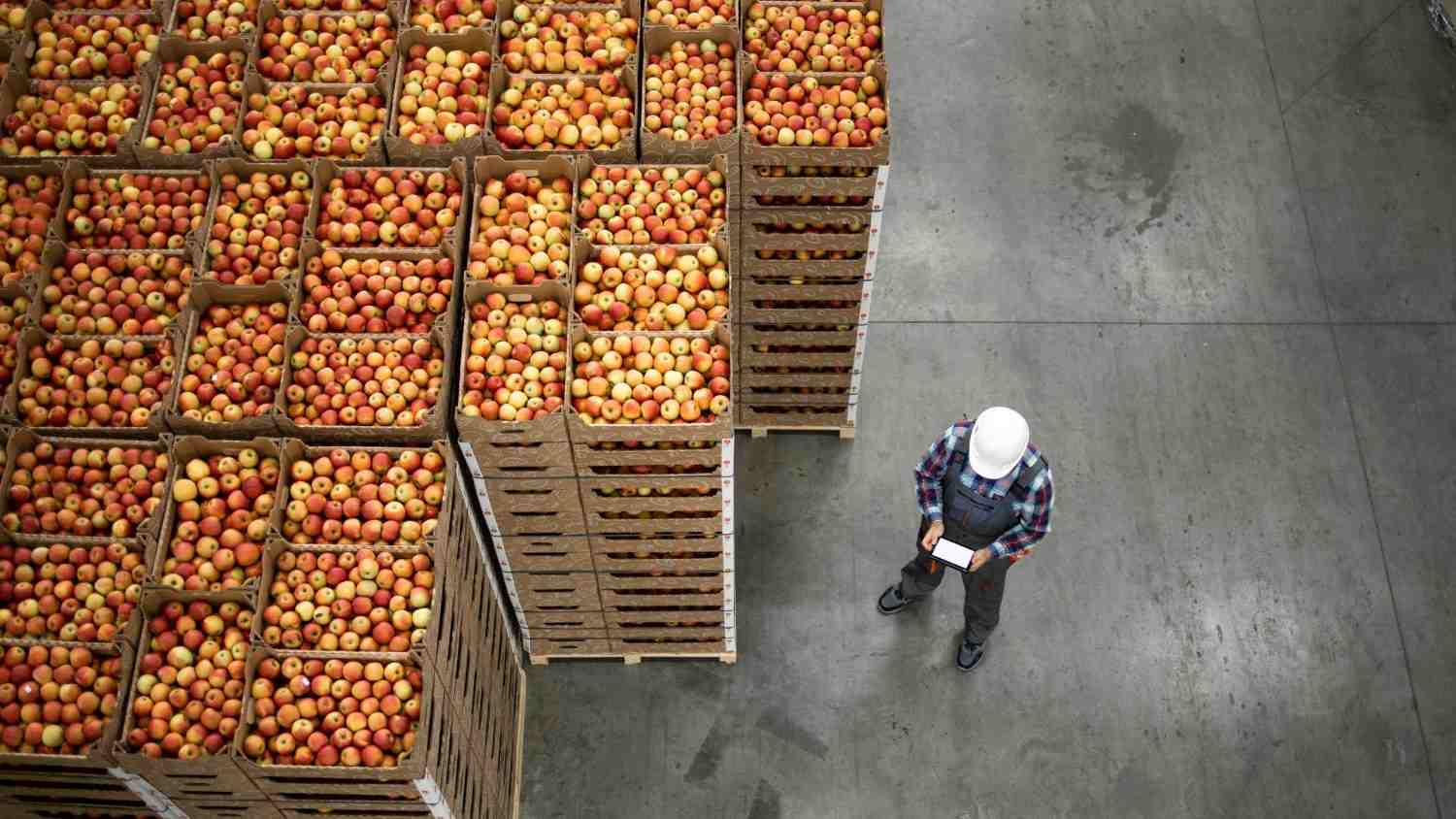 Top view of worker standing by apple fruit crates