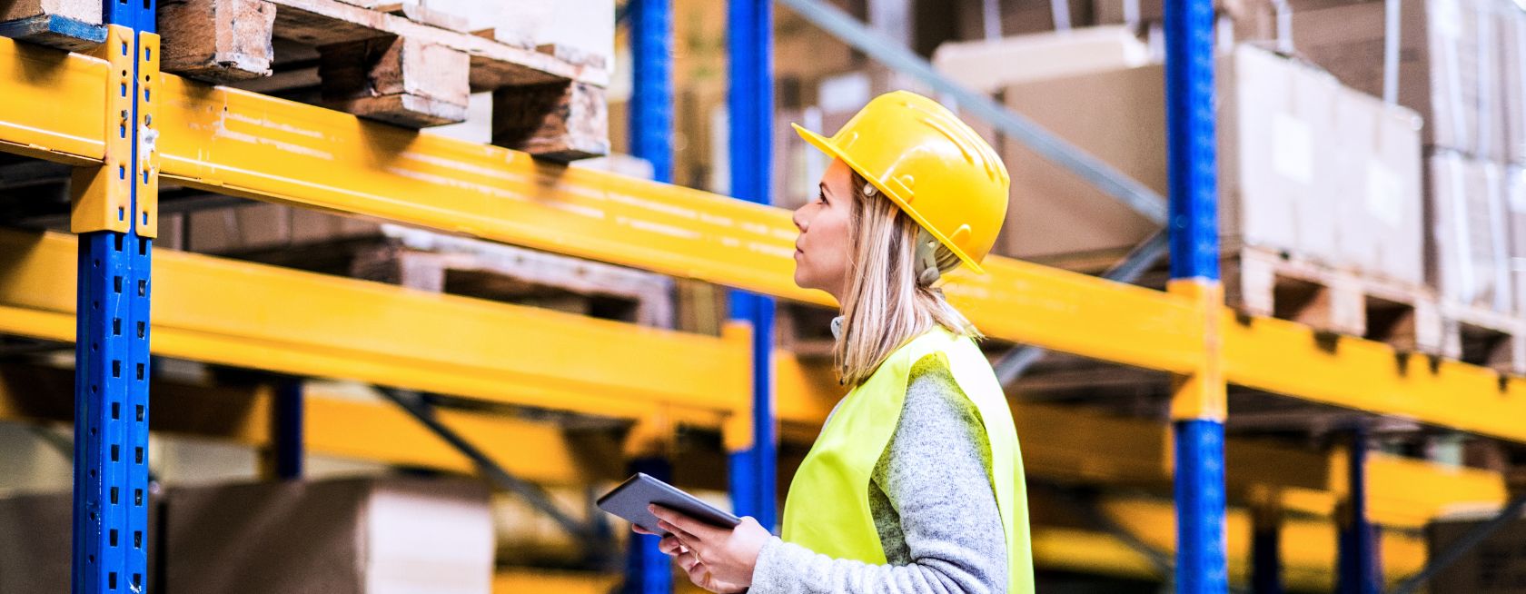 ISO 45003 - Psychological Health and Safety Training Course