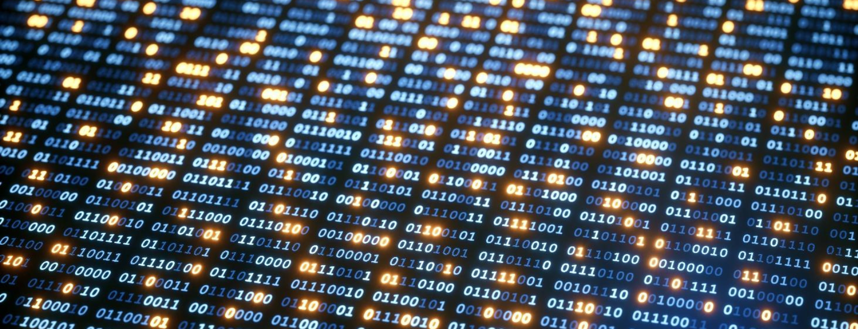 CRISC Preparation Course