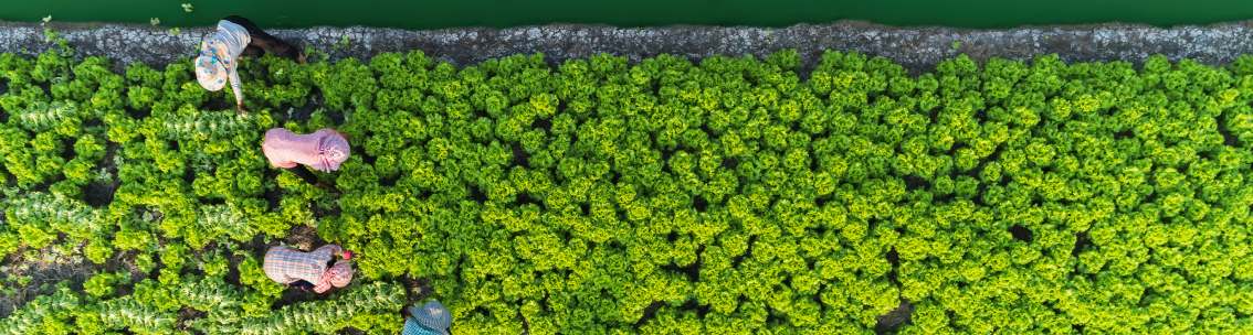 Can investing in climate resilience mitigate a humanitarian crisis?_1134x300