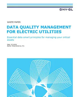 Cascade - Data quality management for electric utilities - Whitepaper