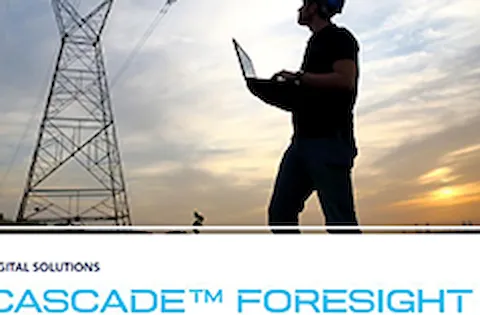 Cascade Foresight flier