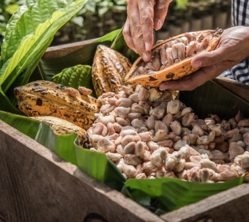 View from the industry: Ferrero