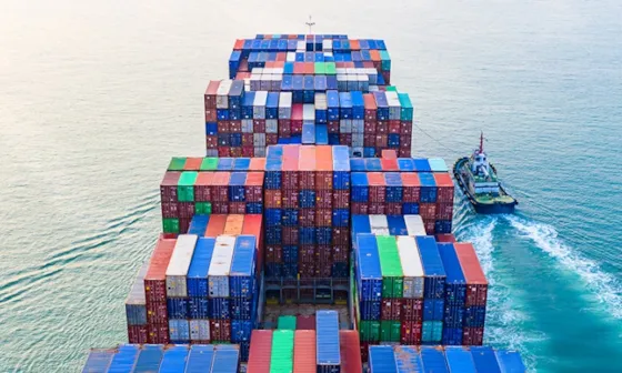 CII - Carbon Intensity Indicator