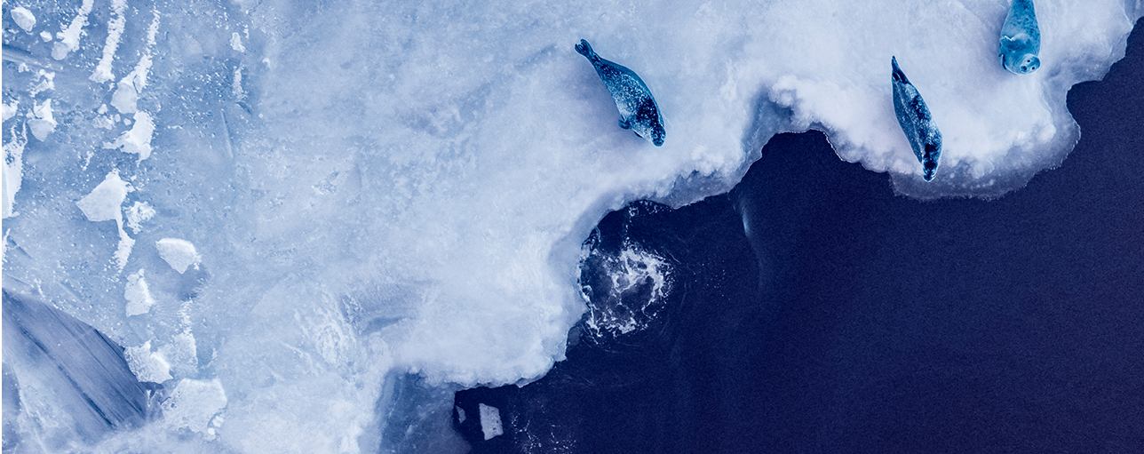 Climate positive policies not enough alone to solve emissions crisis