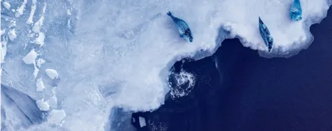 Climate positive policies not enough alone to solve emissions crisis